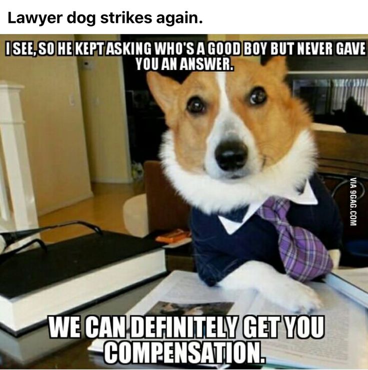 a dog wearing a suit and tie sitting at a desk with an open book in front of him