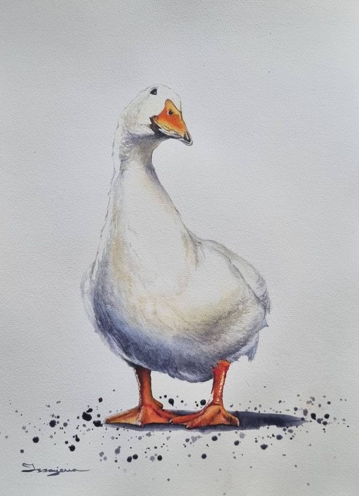 a watercolor painting of a white duck with orange legs and feet standing on the ground