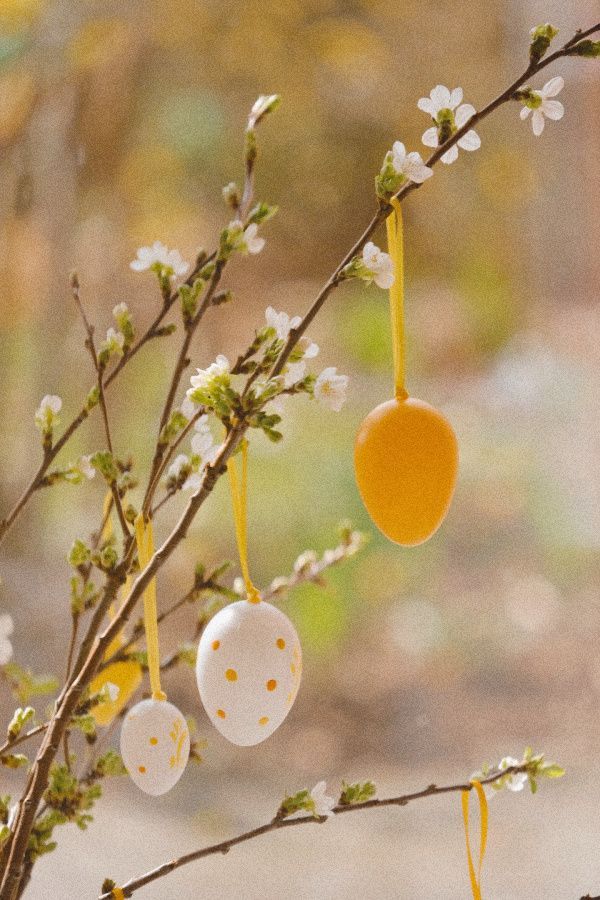 two eggs hanging from a tree branch with white flowers in the foreground and blurry background