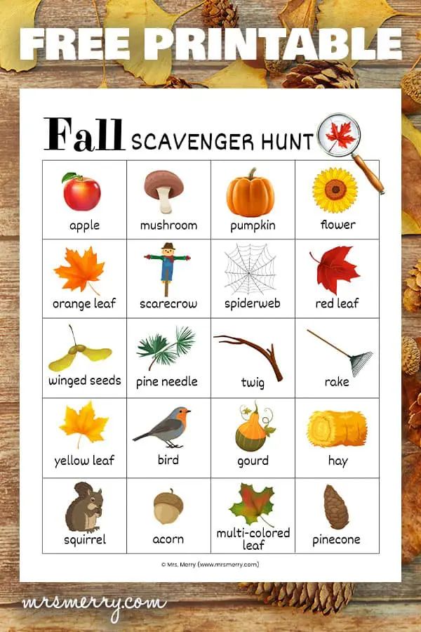 a printable fall scavenger hunt for kids