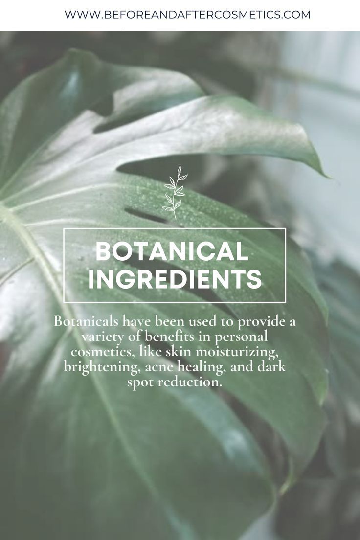 🍃The benefits of botanical ingredients have long been celebrated in the beauty and skincare industry. At B&A, we care about you, your skin, and overall well-being. That is why we pretty much ensure that you get to reap all the skin loving benefits of our botanical ingredients through the process of fermentation. Celebrate the love of nature with our all-natural, vegan skincare products. 🌿🌱 Skincare Magazine, Botanics Skin Care, Bad Acne, Oily Skin Acne, Skin Care Benefits, Botanical Skincare, Acne Scar Removal, Best Skincare Products, Skincare Brand