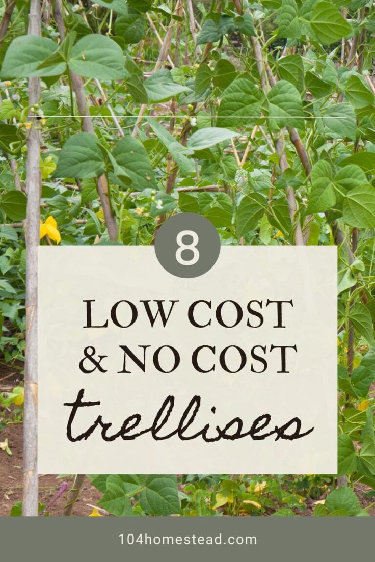 a sign that says 8 low cost and no cost trellises in front of some plants