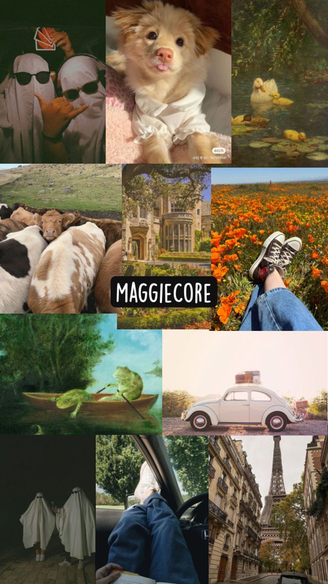 the collage shows many different pictures with animals and people in them, as well as text that reads maggie core