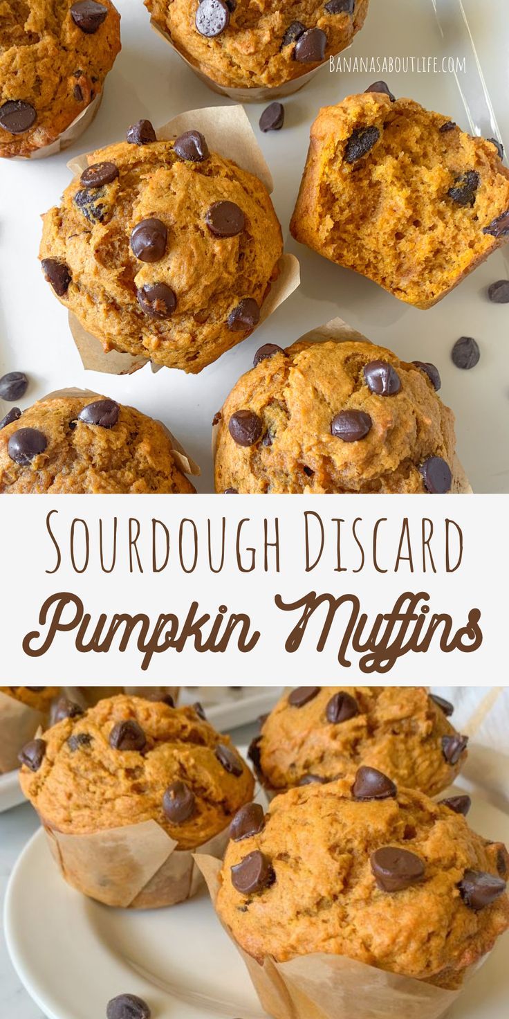 sourdough pumpkin muffins Sourdough Pumpkin Muffins, Sourdough Pumpkin, Sourdough Muffins, Recipe Using Sourdough Starter, Sourdough Starter Discard Recipe, Pumpkin Muffin Recipes, Gluten Free Sourdough, Homemade Sourdough Bread, Pumpkin Chocolate Chip Muffins