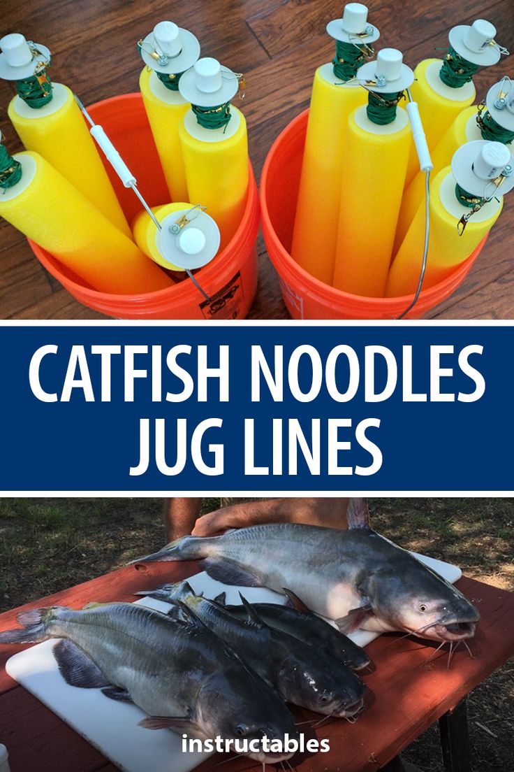 two buckets filled with fish sitting next to each other on top of a table