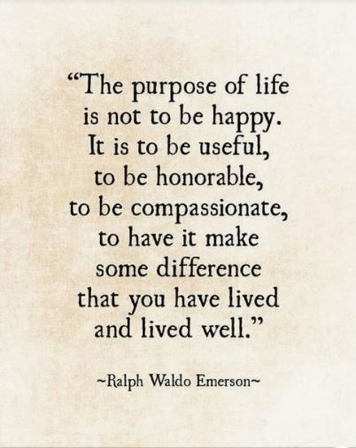 the purpose of life is not to be happy it is to be useful