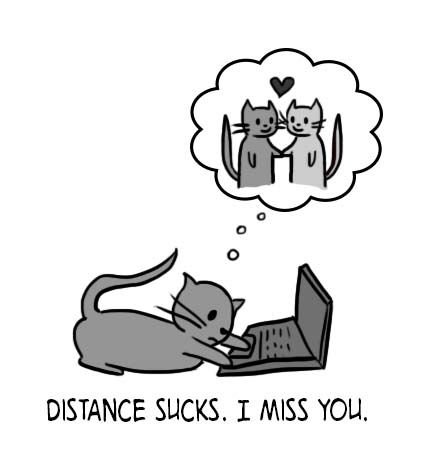 a cat sitting on top of a laptop computer with the caption distance sucks i miss you