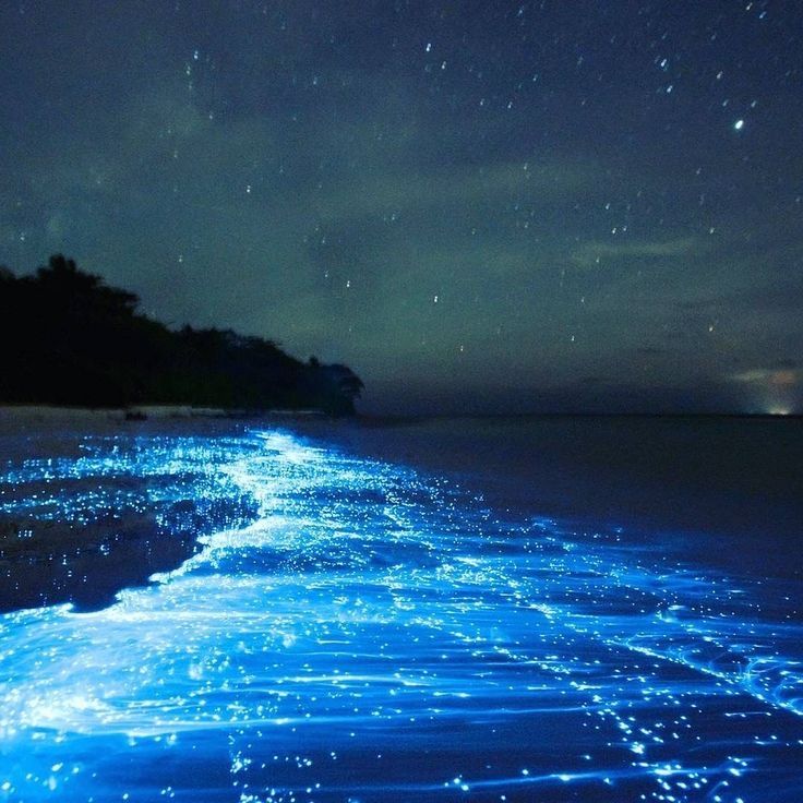 the water is glowing blue and it looks like they are floating in the ocean at night