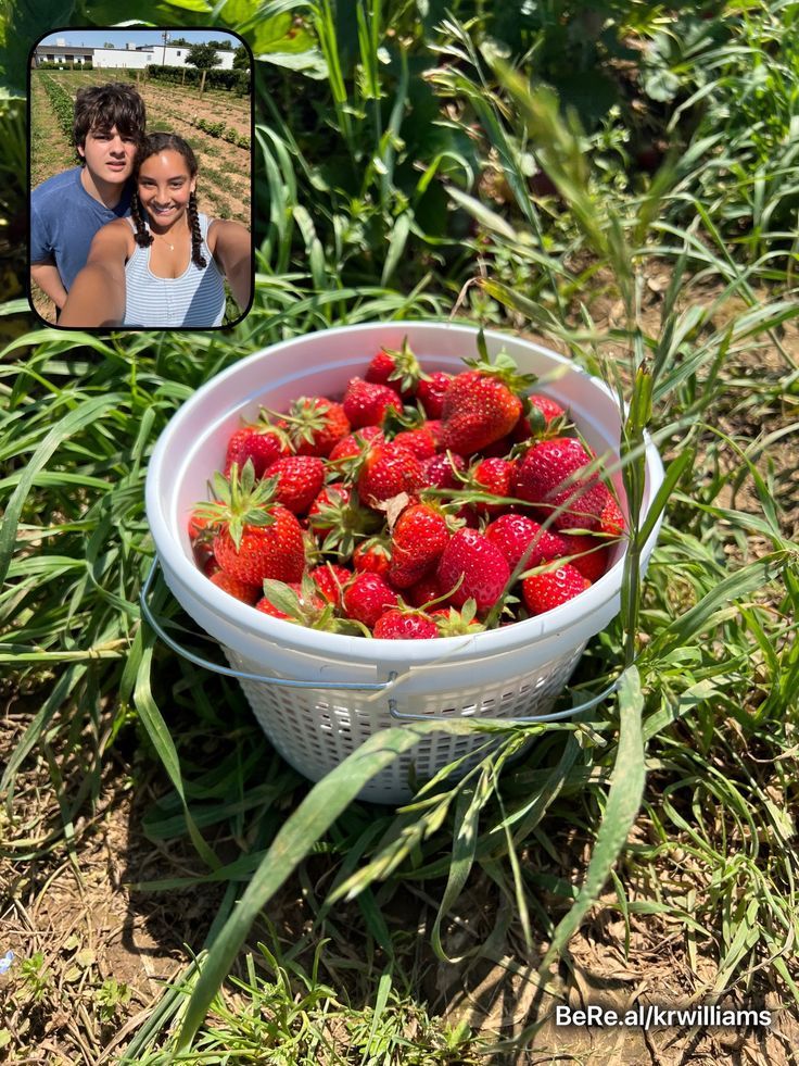 a basket full of strawberries sitting in the grass