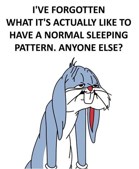 a cartoon rabbit with the caption i've forgotten what it's actually like to have a normal sleeping pattern anyone else?