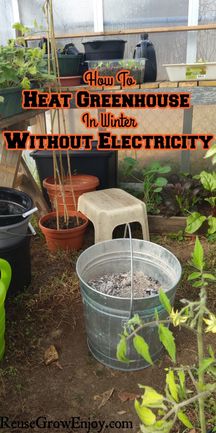 there are many potted plants in the greenhouse with text overlay that reads how to heat greenhouse in winter without electricity