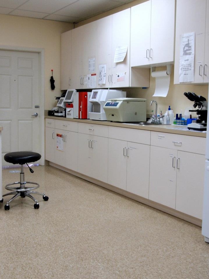 a lab with white cabinets and lots of counter space, including a black chair in the middle