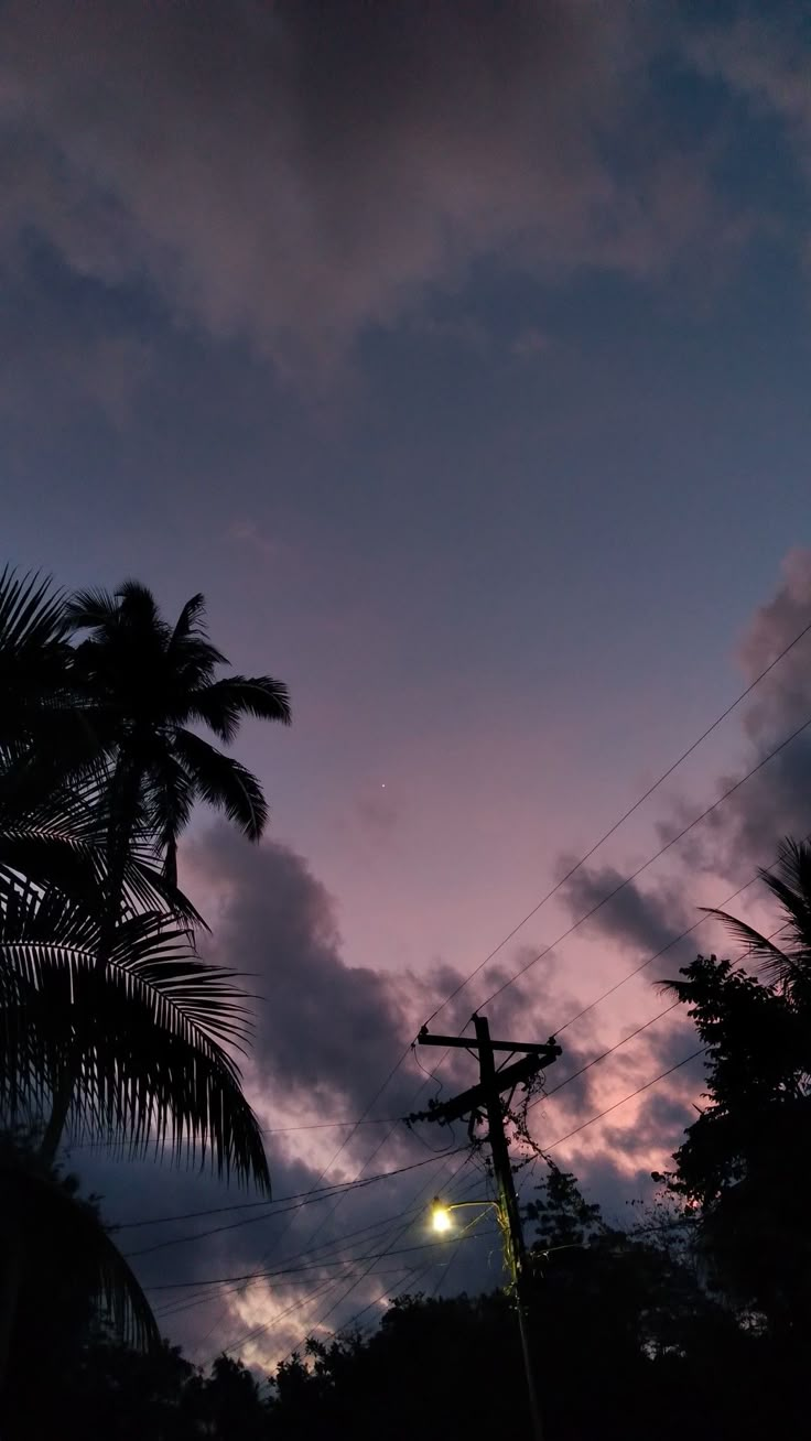 the sun is setting behind some palm trees and telephone poles in front of a cloudy sky