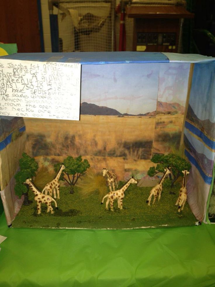 a cardboard box with giraffes in the grass and trees on it's sides