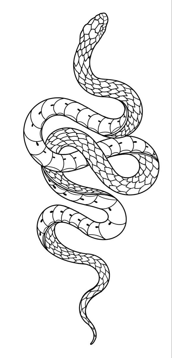 Snake tattoo stencil Women Tattoo Stencil, Snake Tattoo Stencil, Snake Outline, Cobra Tattoo, Tattoo Snake, Baby Tattoo, Serpent Tattoo, Stencil Outline, Snake Drawing