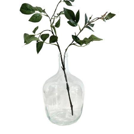 a glass vase with a twig and green leaves in it on a white background