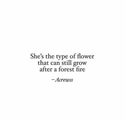 a white background with the words she's the type of flower that can still grow after a forest fire