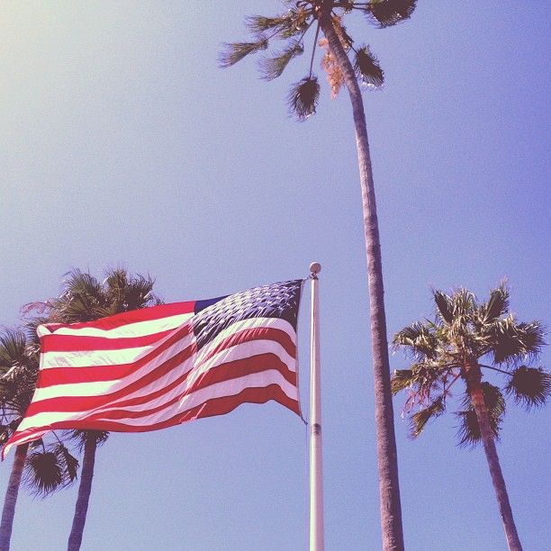 an american flag flying in the wind between two palm trees