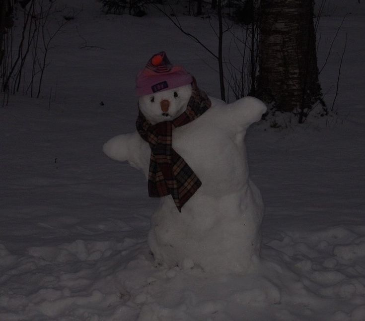 a snowman with a hat and scarf standing in the snow near some trees at night