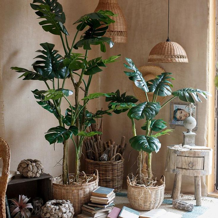 some plants are in wicker baskets on the floor next to books and other items