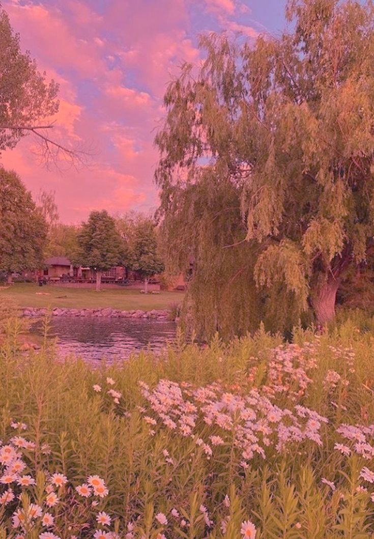 the sun is setting over a pond and flowers