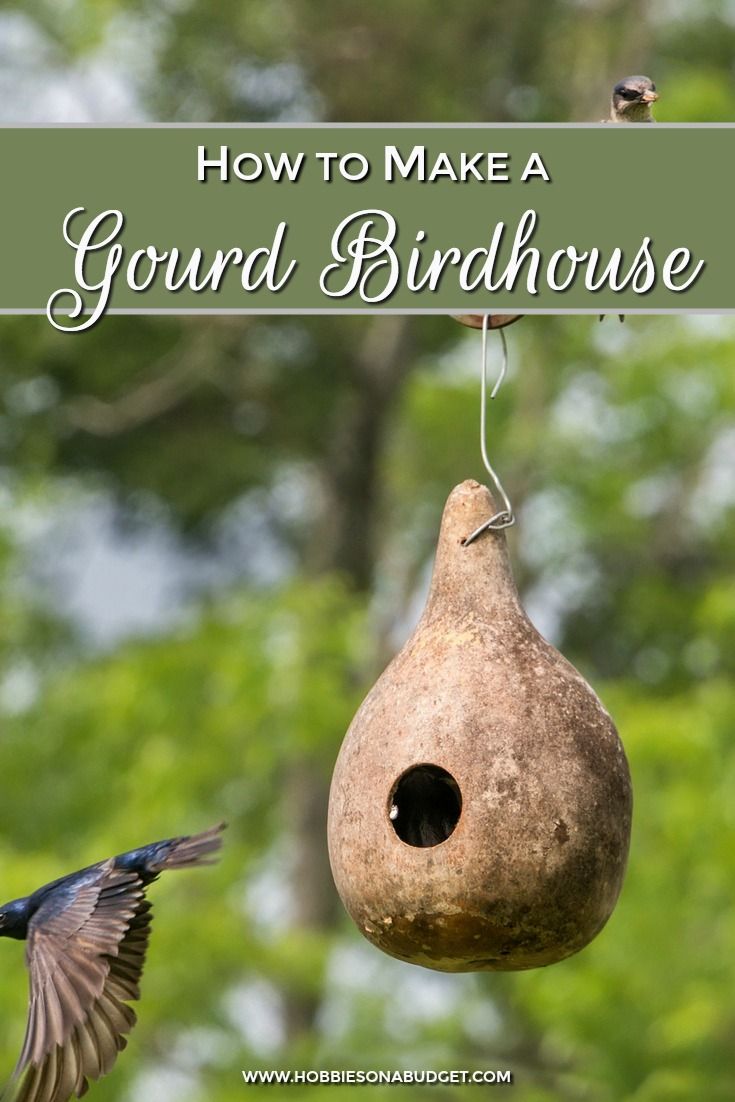 a bird house hanging from a tree with the words how to make a gourd birdhouse