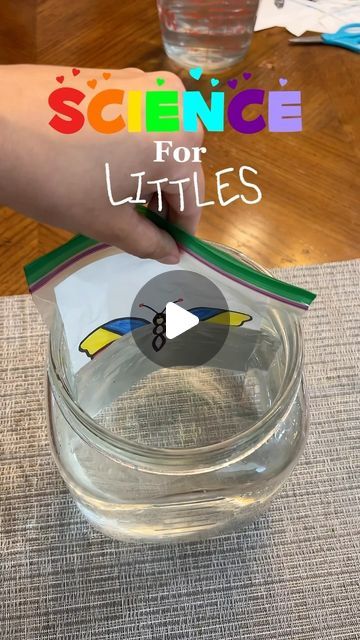 a hand holding a piece of paper over a glass bowl with water in it and the words science for littles