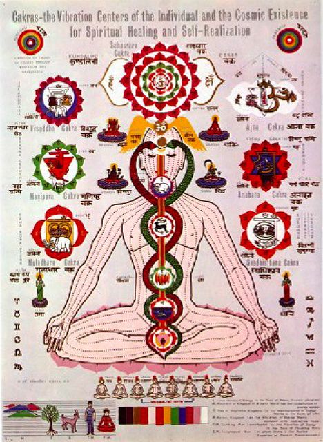 Chakras Hindu Diagram Arte Yoga, The Seven Chakras, Yoga Kundalini, Picture Writing Prompts, Chakra Art, Romance Covers, Spiritual Stuff, Spiritual Artwork, Seven Chakras