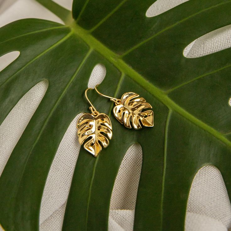 December Goddess Box is a special one! We created a one of a kind Monstera Leaf Gold Earring Earring is 1.5 inches long and lightweight Perfect for everyday island style living 14kt Gold Plated See all the past boxes here Handmade Gold Botanical Earrings, Monstera Jewelry, Gold Leaf Nature-inspired Earrings, Gold Leaf-shaped Nature-inspired Earrings, Monstera Leaf Earrings, Jewelry Photos, Special One, Gold Earring, Island Style