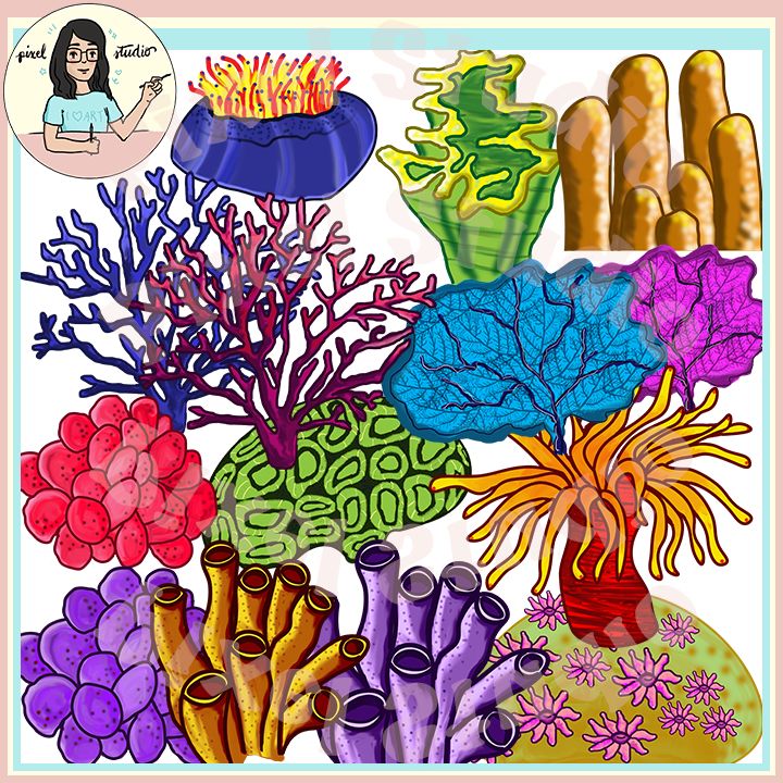 an image of colorful corals and sea plants