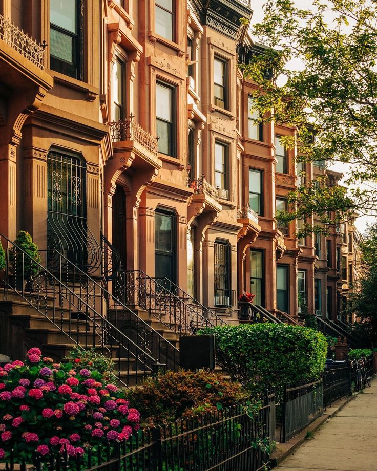 a row of browns houses with flowers in the foreground and stairs leading up to them