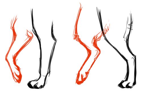 the legs and feet of a horse drawn in red ink