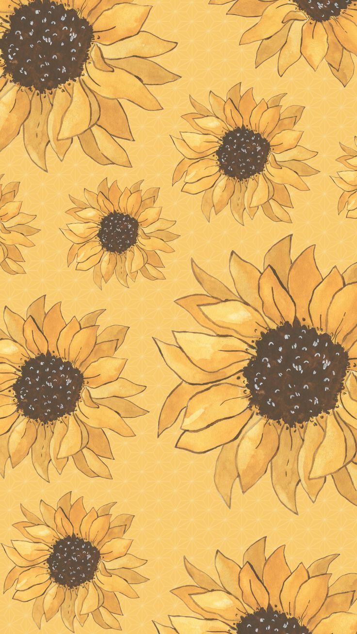 sunflowers are shown on an orange background