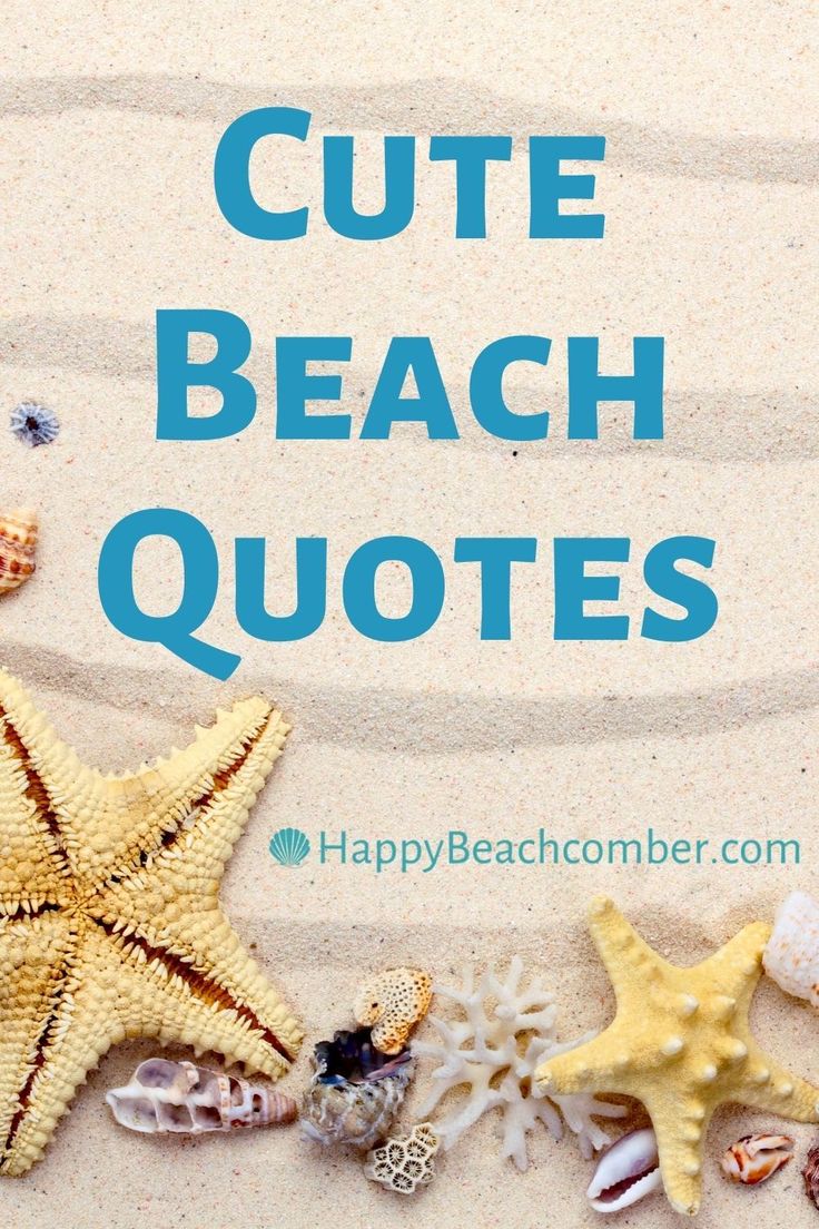 the words cute beach quotes are written in blue and white with starfishs on it