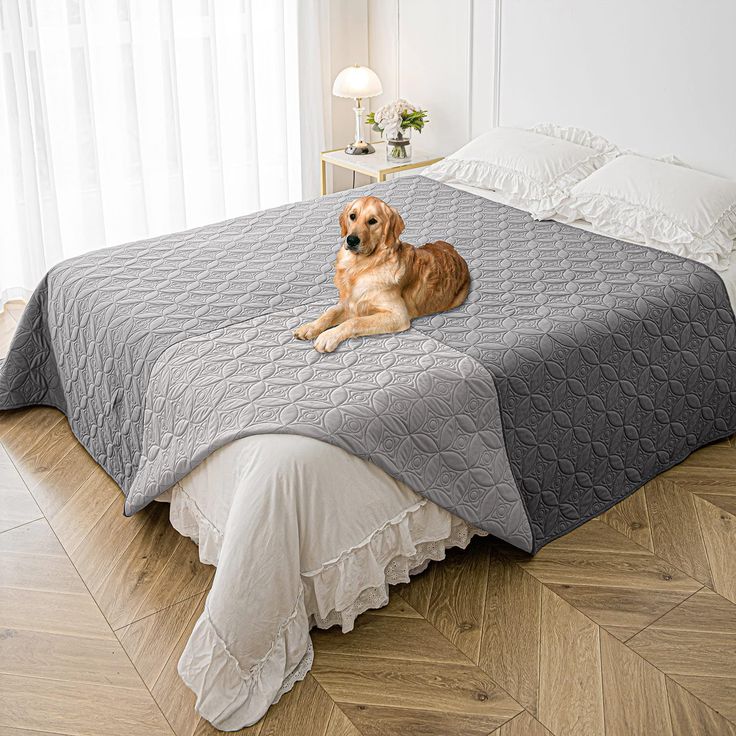 a dog laying on top of a bed in a room with wooden floors and white walls