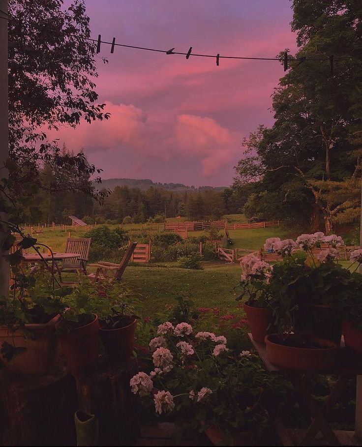 an outdoor garden with potted plants and flowers in the foreground, at dusk