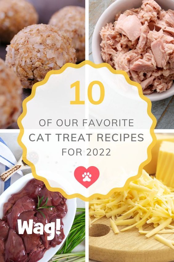 the top ten cat treat recipes for 2012, including meat and cheeses with text overlay that reads 10 of our favorite cat treat recipes