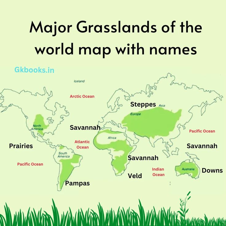 a map with the names of major grasslandss in green and white, on a light green background