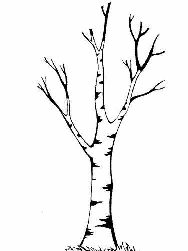 a drawing of a tree with no leaves