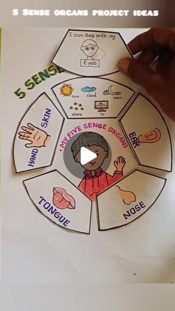 a person holding up a poster with different types of things on it and the words 5 sense organic project ideas