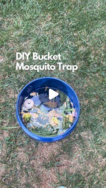 a blue bucket filled with trash sitting on top of a grass covered field next to a pair of shoes