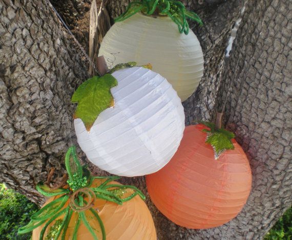 three paper lanterns are hanging from a tree