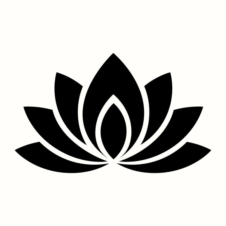 a black and white image of a lotus flower