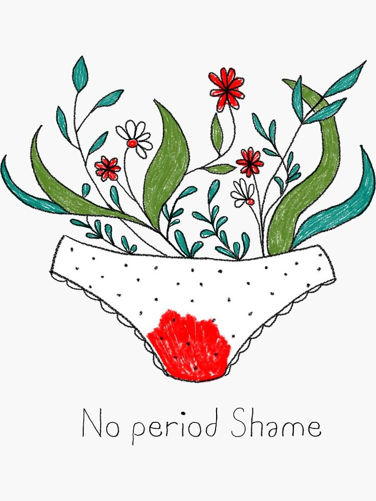 a drawing of a panties with flowers and leaves in it that says no period shame