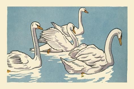 three white swans floating on top of a body of water with their wings spread out