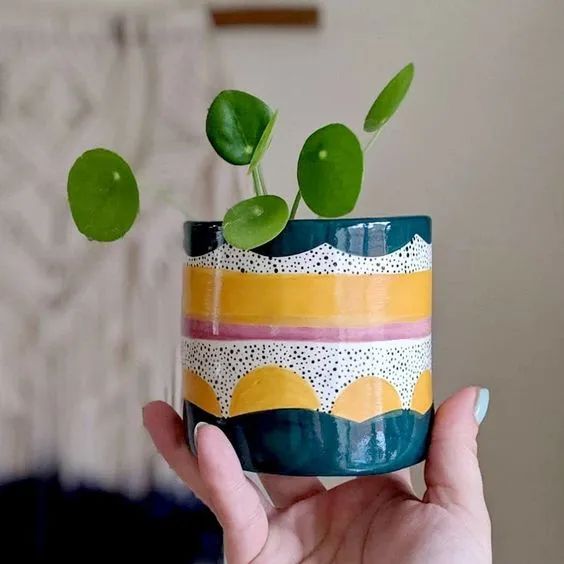 a person holding a plant in a colorful cup