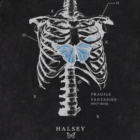 an image of a skeleton with the words halsey on it's back side