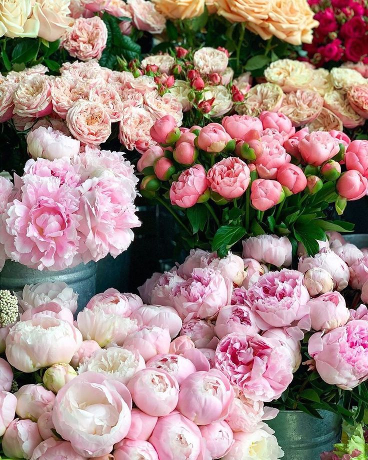 many pink and white flowers are in buckets