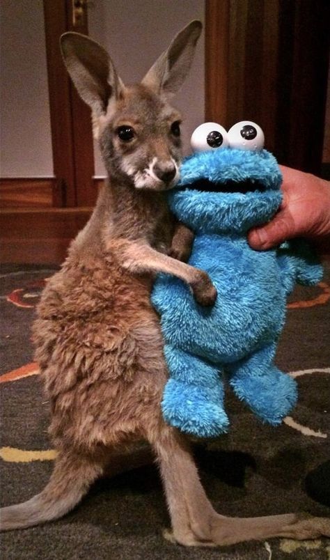 a person holding a stuffed animal in front of a blue toy with eyes on it's face