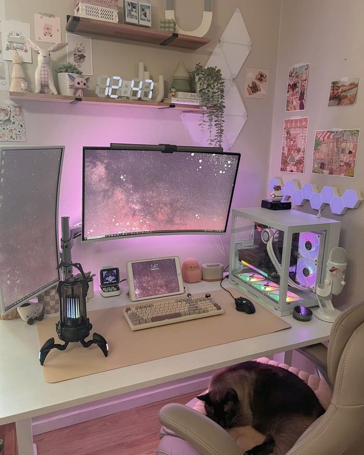 a cat laying on a chair in front of a computer desk